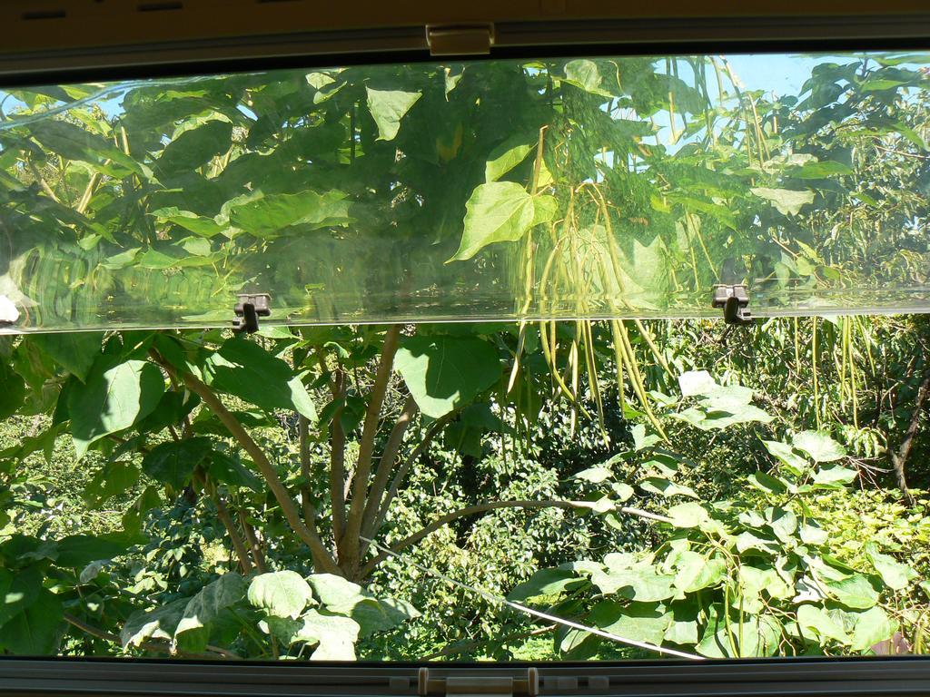 Auto-Chatka Sandomierz Esterno foto